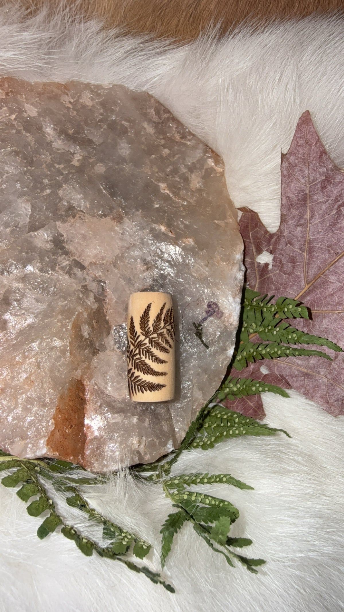 Bead- fern