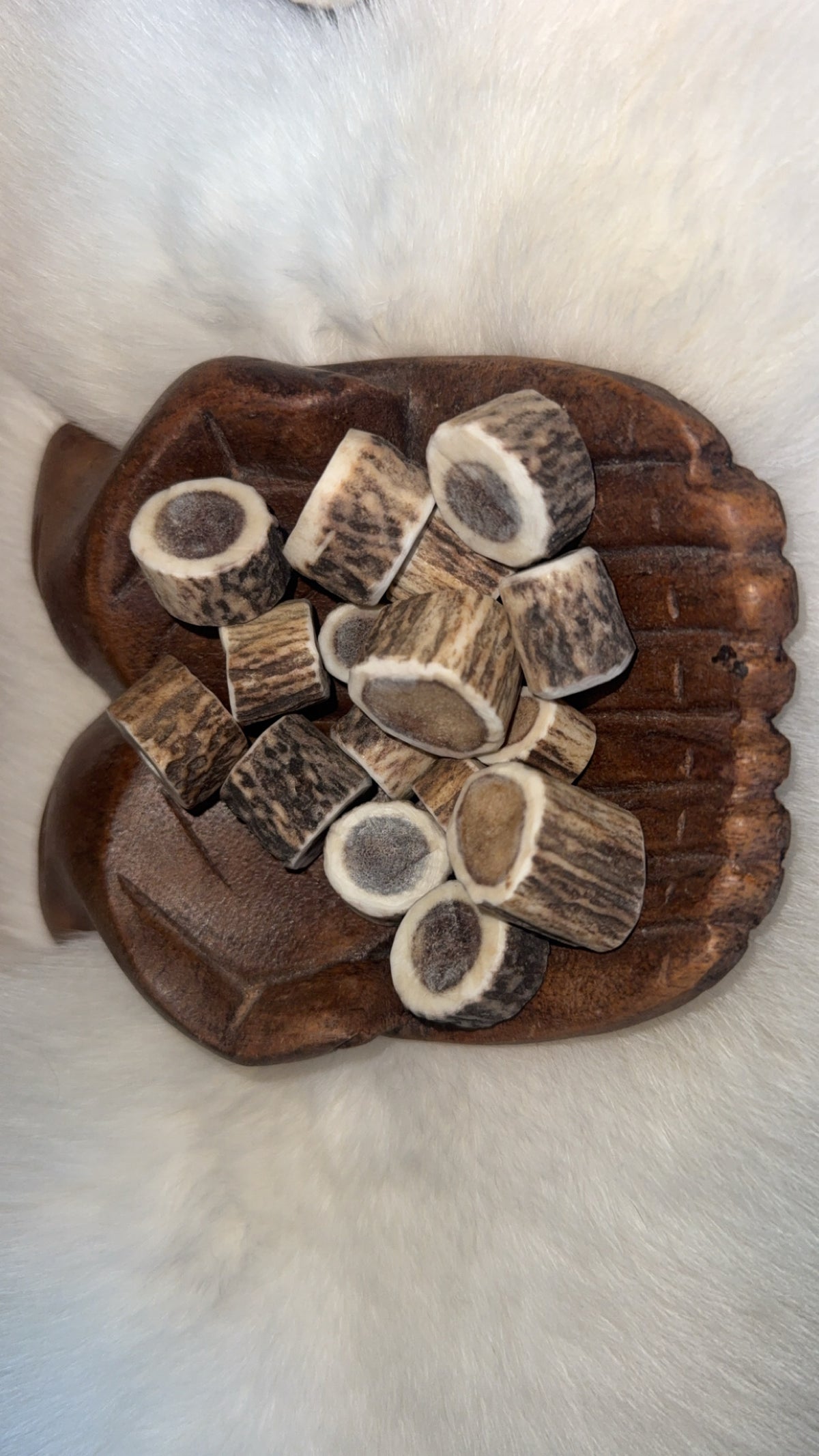 Antler Beads