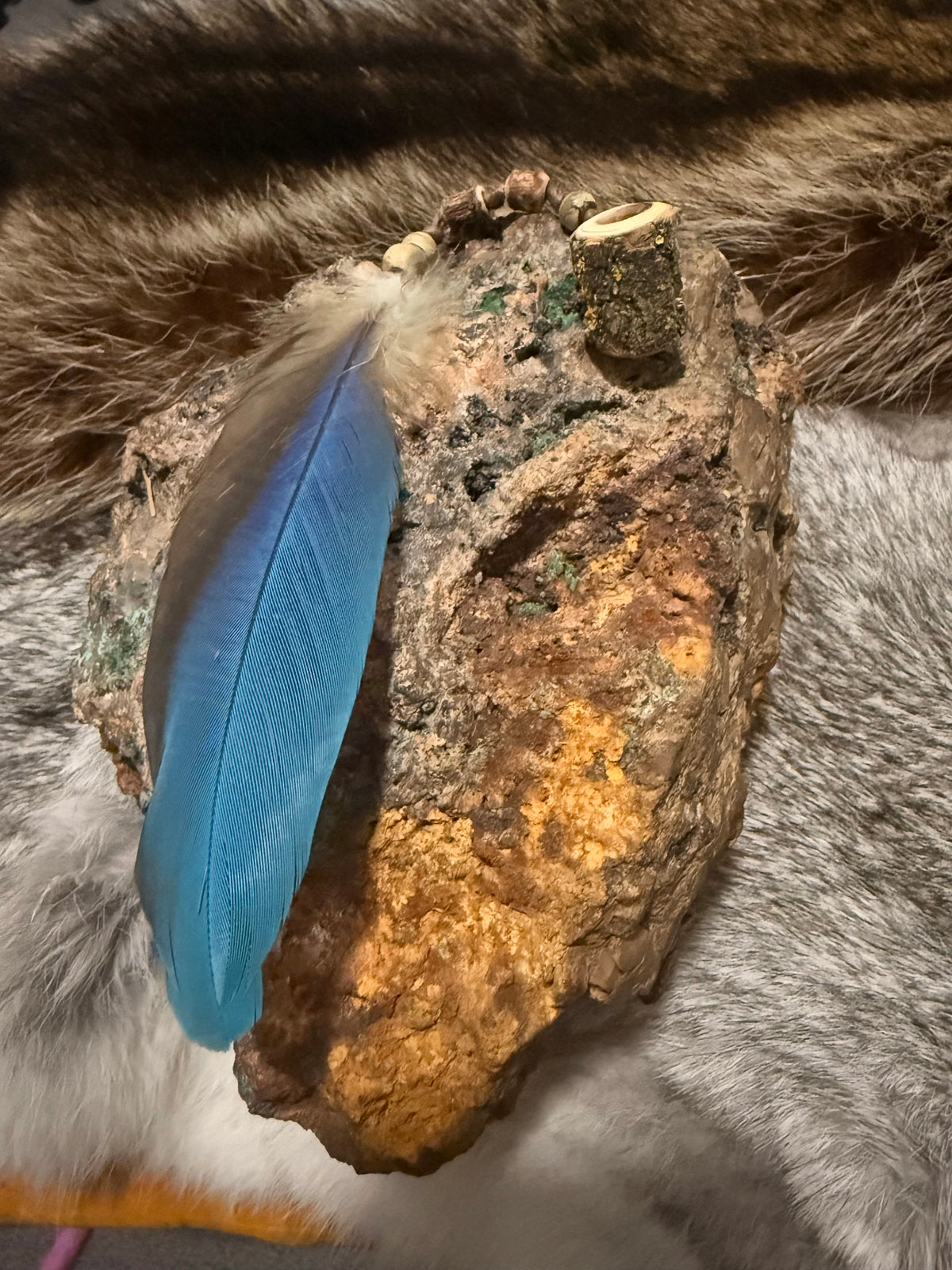 Dangle- Macaw feather