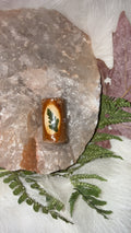 Bead fern portal