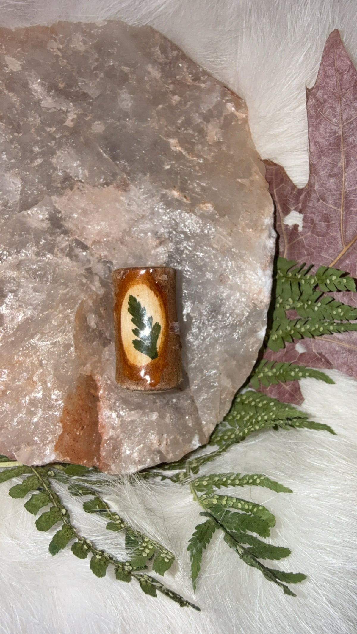 Bead fern portal