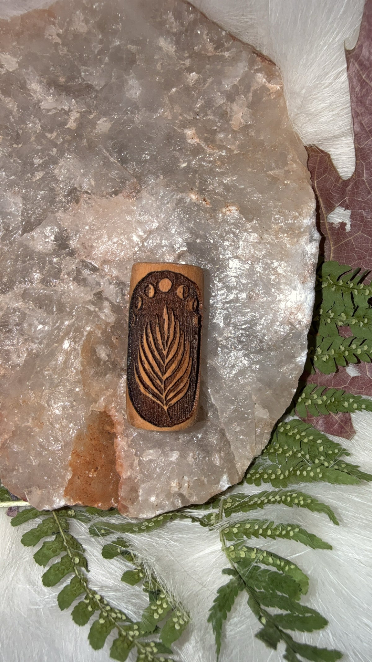 Bead moon fern