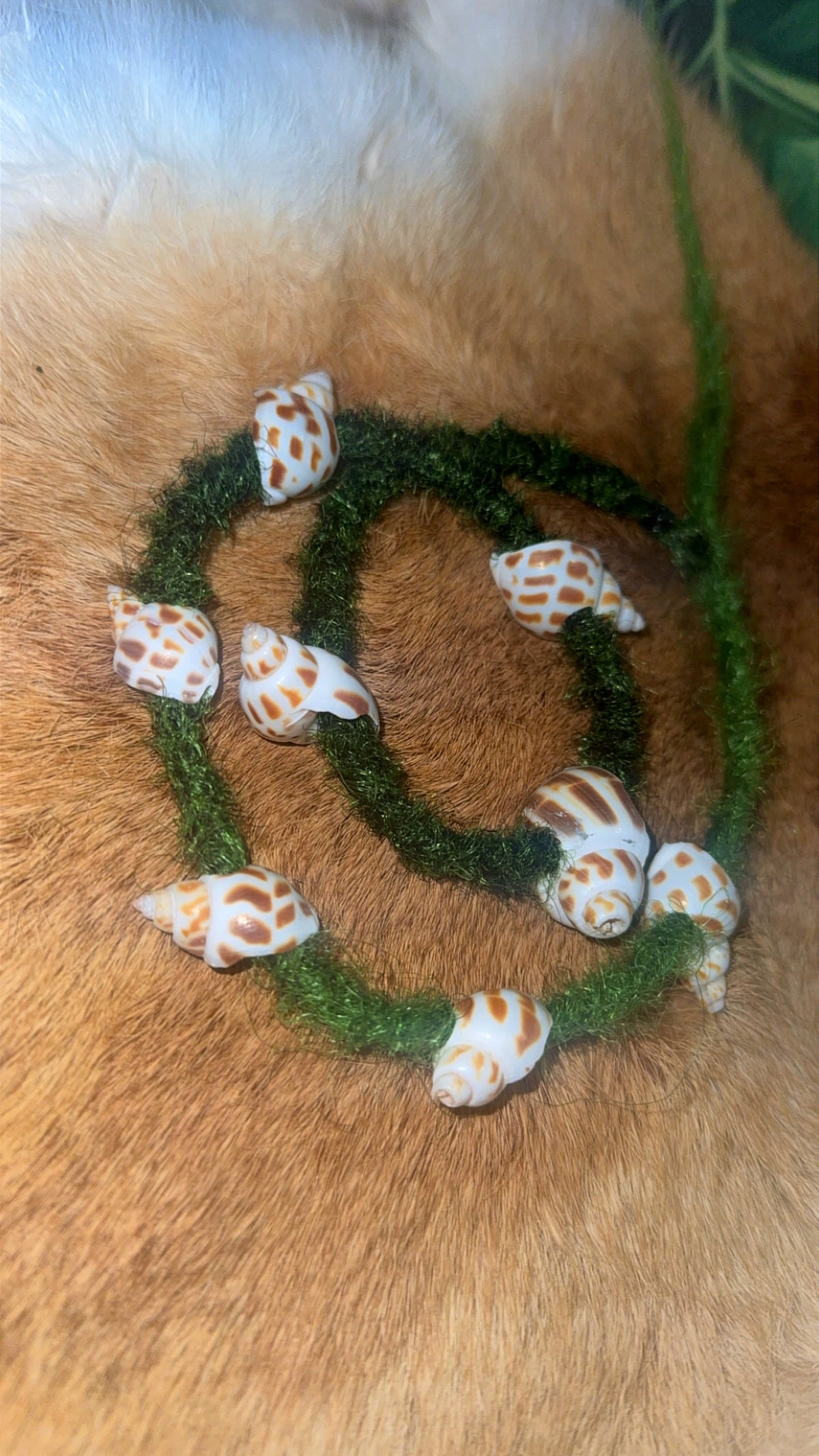 Shell bead- Babylonia