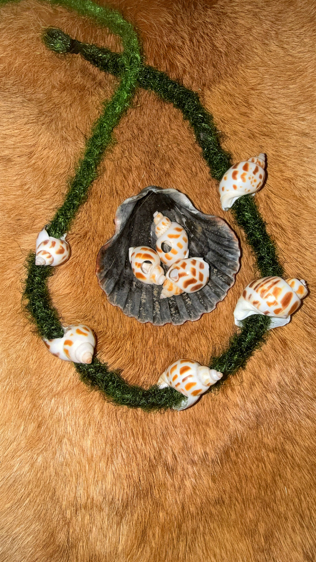 Shell bead- Babylonia