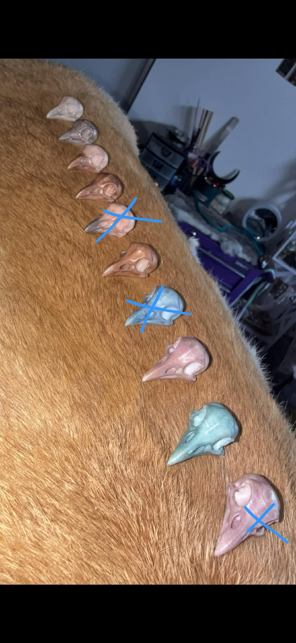 3d- raven skulls