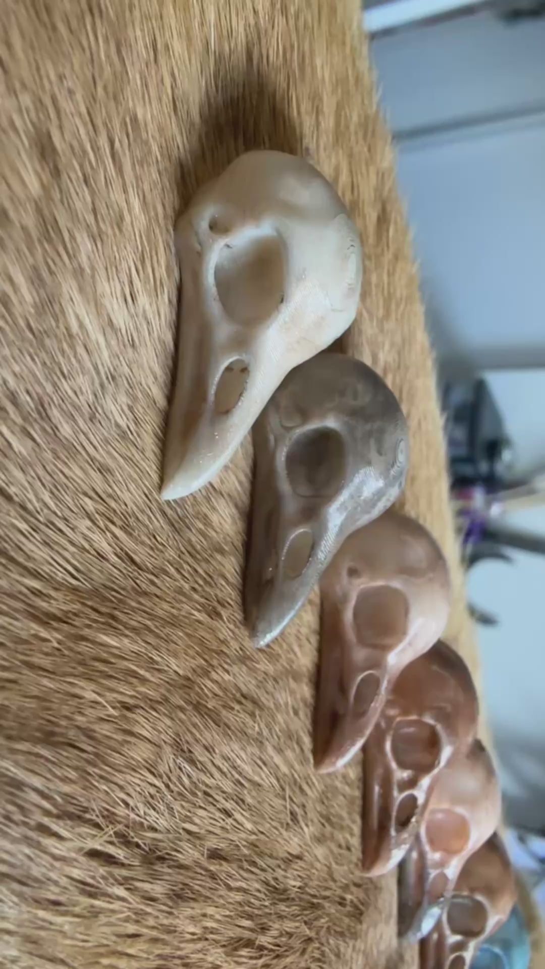 3d- raven skulls